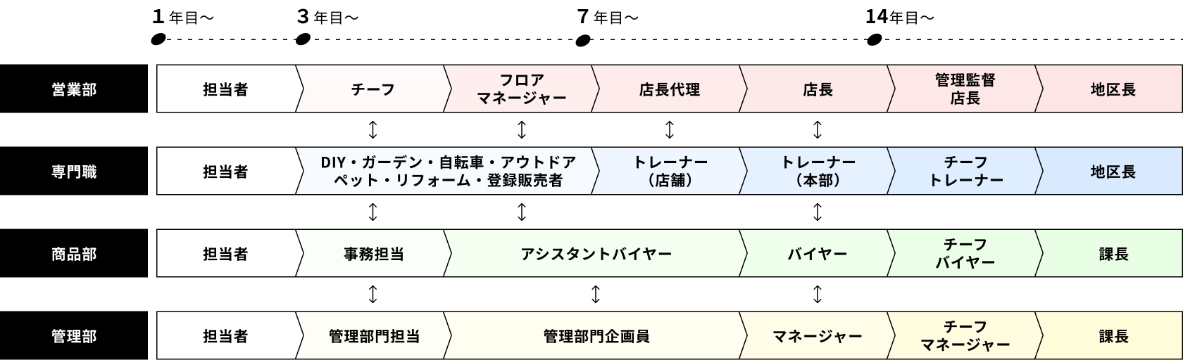 キャリアパスのイメージ