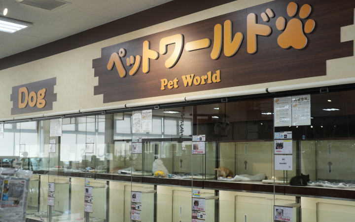 ペットワールドの従業員