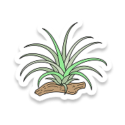 イラスト